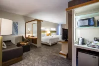 SpringHill Suites San Angelo Hotels in San Angelo