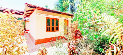 Walnut Estate Stay Hotels in Somwarpet