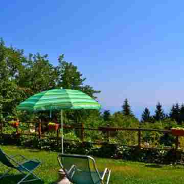 Liano Apartments Hotel Exterior