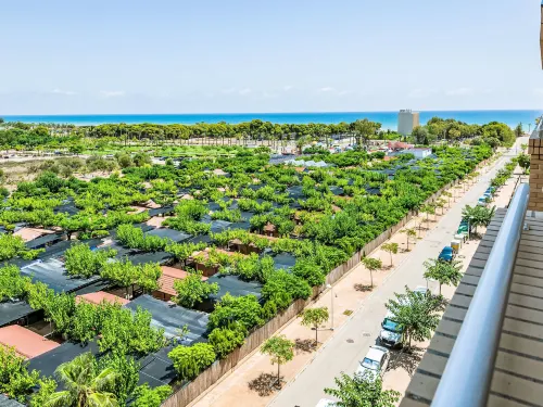 Costa Azahar - Homestays