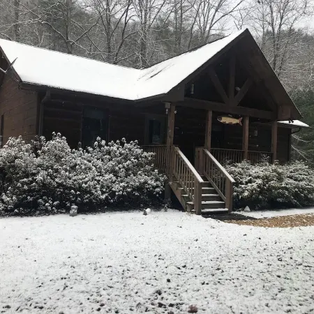 Nature's Delight in Robbinsville NC:  Snowbird Creek, Dragon's Tail and Trout