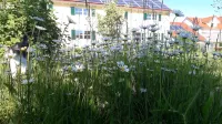 Memmingen" vacation apartment