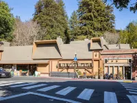 Uptown in Downtown Mill Valley!  The only 3bd/2ba in the heart of the city!