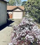 Cozy Cottage King Bed Fenced Pet Yard 5Min Walk to Old Roseville