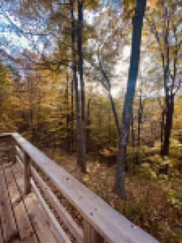 Take it easy at this unique and tranquil getaway in the zaleski state forest.