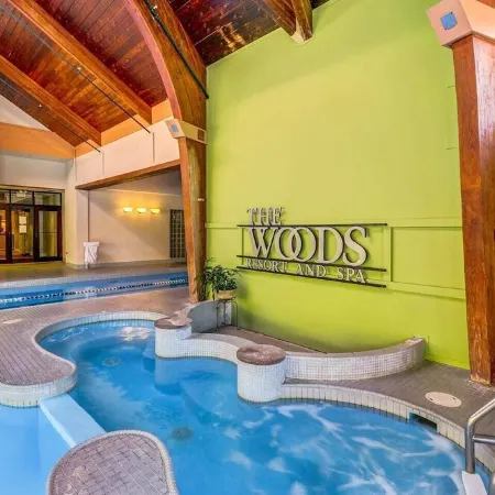 Modern Mountain Condo with Spa