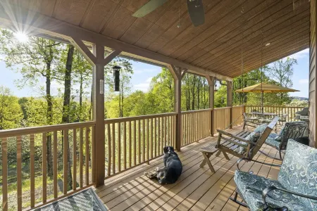 Sky Dog Pet Friendly Home Dupont Brevard Hiking Mountain Biking Porch Waterfalls Отели в г. Данс Рок