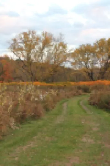 Handcrafted Riverfront Cabin on 10 acres