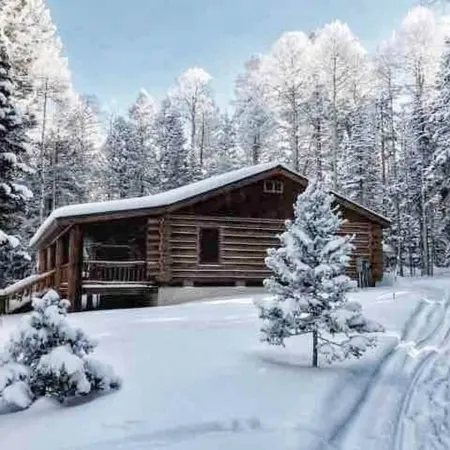 BEAUTIFUL MOUNTAIN LOG CABINPETS ALLOWED