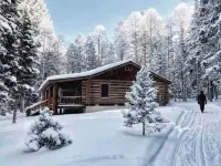 BEAUTIFUL MOUNTAIN LOG CABINPETS ALLOWED