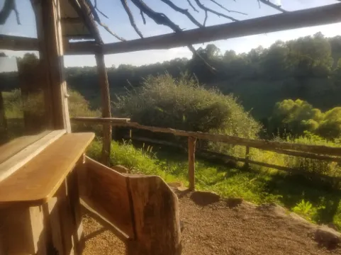 #4 the eagles nest cabin