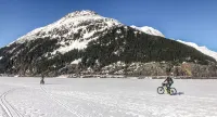Relax with amazing 360° mountain views in this cozy Alaskan tiny cabin!