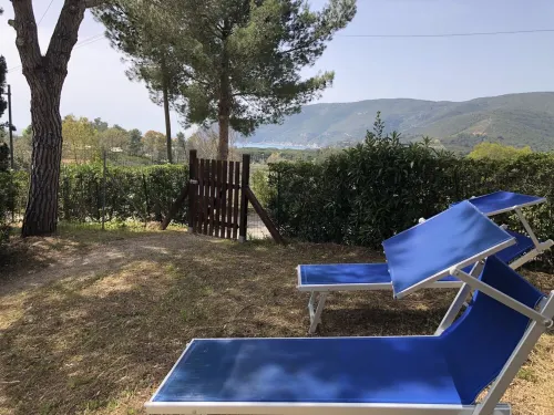 Blueberry apartment - studio 2/3 people - privacy - surrounded by greenery