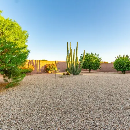 SUN CITY GRAND REMODELED 2 KING BEDS, W/ LARGE PRIVATE YARD, PATIO MISTERS!
