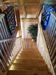 Kermit’s Cabin in Finger Lakes Region