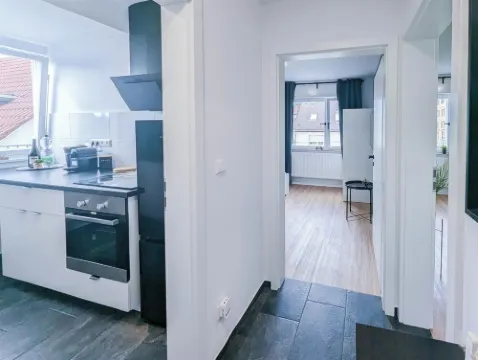 ALFA Stuttgart 3 rooms 6 beds apartment near Wasen