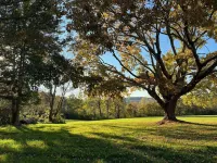Pet Friendly Cozy Cabin Close to Slopes