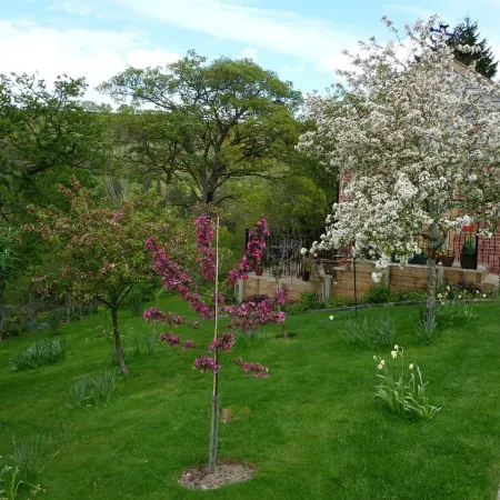 Secluded Detached Stable / Barn Conversion On The Border Of Shropshire And Wales