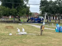 Lafitte House on the Water
