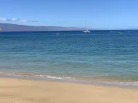 The Whaler!  ~Beautifully remodeled ground floor courtyard studio~