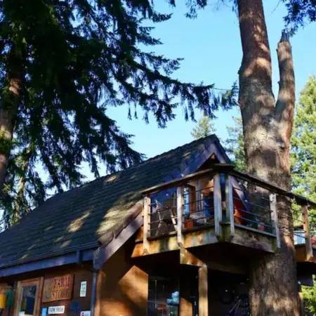 The Nest at Left Foot Farm.
