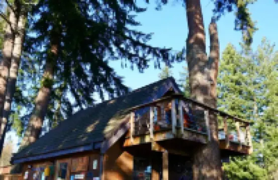 The Nest at Left Foot Farm.