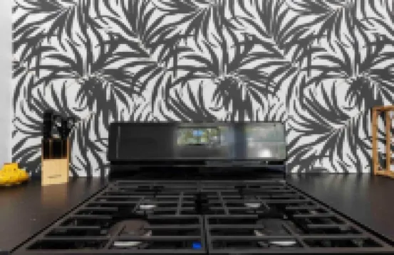 Fox at Fourth Street Walk to downtown Chico