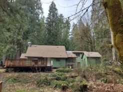 The North Bank Cabin,100ft private McKenzie Riverfront, Grill, 20min to Falls