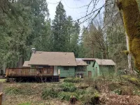 The North Bank Cabin,100ft private McKenzie Riverfront, Grill, 20min to Falls