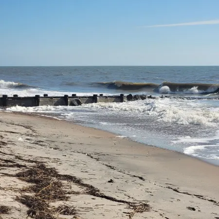 Experience the Edisto Lowcountry in Style