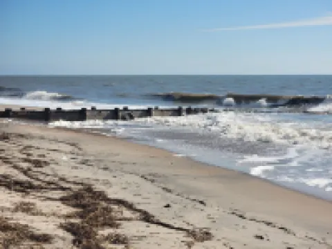 Experience the Edisto Lowcountry in Style