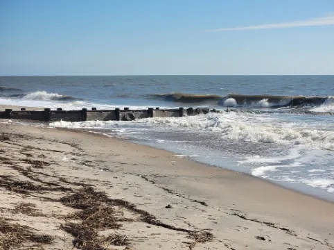 Experience the Edisto Lowcountry in Style