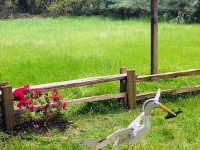 Cozy 1 BR Cottage 2 Block Stroll to Sonoma Plaza. Hotels in Sonoma
