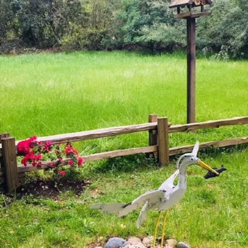 Cozy 1 BR Cottage 2 Block Stroll to Sonoma Plaza.