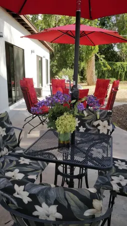 New Modern Home close to Phoenix Mountain Отели рядом с достопримечательностью «Пистева Пик»