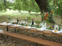 Villa Le Terrae 1hr from Rome. Lazio-Umbria border Hotel a Vasanello