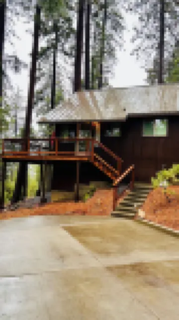 Cozy Cabin in the woods.