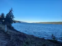 San Gregorio - A Cozy & Dog Friendly Forest Retreat