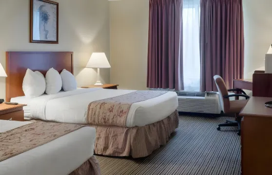 格林維爾羅德威酒店（Rodeway Inn Greenville）