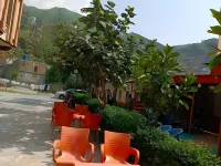 Zara Residence Hotel Hotels in Mingora