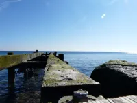 Apartment -Vogelflug- in the house at the pond pet friendly and cozy