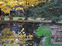 Manor House BnB, Soaking Tub, Pet Friendly 曼斯費爾德酒店