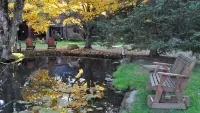 Manor House BnB, Soaking Tub, Pet Friendly