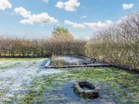 6 Person Holiday Home in Tarm by Traum