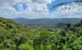 Villa Gringo Farms