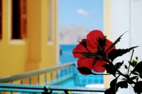 Marika's Deluxe Rooms - Meerblick