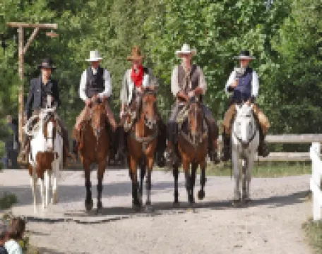 Ferienpark Harz in Hasselfelde