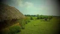 Jungle House Yala