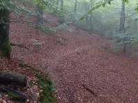 Gästehaus Gebauer Hoteles en Dos Puentes