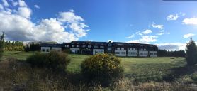 Rochester Calafate